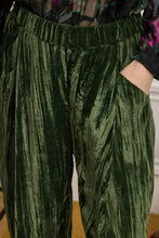 Load image into Gallery viewer, TERTEL VELVET PANTS 7/8